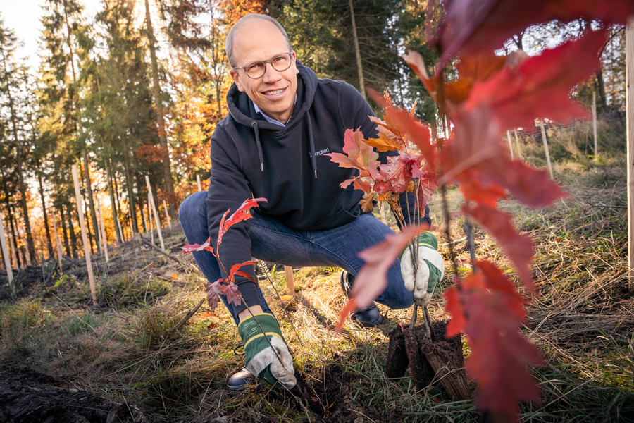 WamS-Advertorial: Stefan Sallandt bei der Baumpflanzaktion im Schmallenbacher Stadtforst